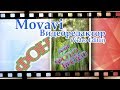 Как убрать черные полосы по бокам видео - Movavi Видеоредактор