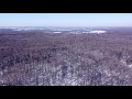 Лес у деревни Дальнерусаново в марте\ The forest near the village of Dalnerusanovo in March