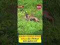 ಪೊಲೀಸರಿಂದ ತಪ್ಪಿಸಿಕೊಳ್ಳಲು ಕೆರೆಗೆ ಹಾರಿದ ರೌಡಿ ಶೀಟರ್! | ಕೊನೆಗೂ ಪೊಲೀಸರ ಬಲೆಗೆ| News Karnataka