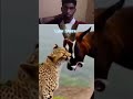 🦌 हिरण ने अपने बच्चों को बचाने के लिए जान दांव पर लगा दी 😱 दिल छू लेने वाली कहानी 💔🔥#trending#tiktok