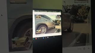 IMG 8746
