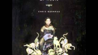 Video thumbnail of "Chris Garneau - El Radio - 02 Dirty Night Clowns"