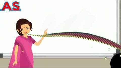 Safety first# exercise# part 1#evs for Grade 1 chapter 9 by Ankita Snehi