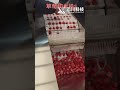 Strawberry Halving MachineCenter clean cut, intact pulp without juice leakage#StrawberryProcessing