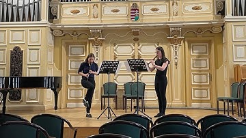 J. J. Quantz  - Op 2 No 6 Flute duet on recorders