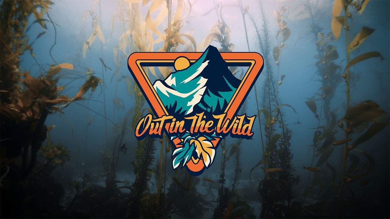 Out in the Wild Trailer