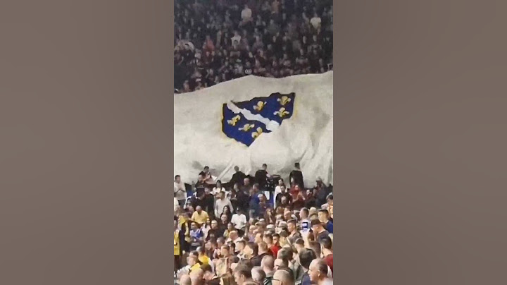 Šest ljiljana zlatne boje to je simbol Bosne moje ⚜️☝️ #bosna #zastava #bhfyp #bosnaihercegovina