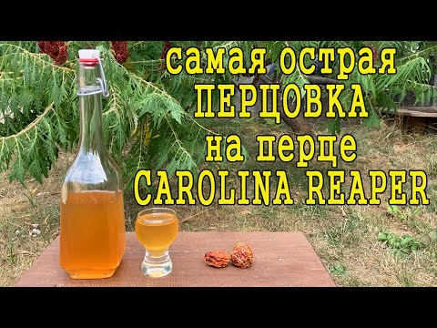 Самая острая перцовка - рецепт настойки на перце Carolina Reaper и дегустация