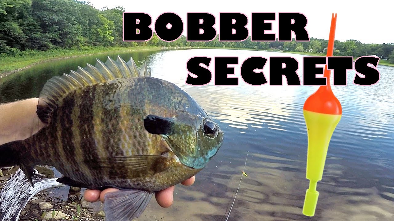 Bobber Secrets That No One Will Tell You! 