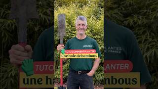 TUTO - Comment planter UNE HAIE DE BAMBOUS avec Barrière ANTI-RHIZOME ? 🎋🪏