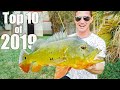 Top 10 Best Fishing Moments from 2019 (Ryan Iz Fishing)