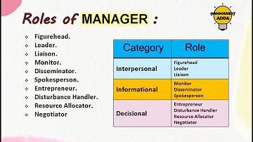 What are the 10 roles of a manager?