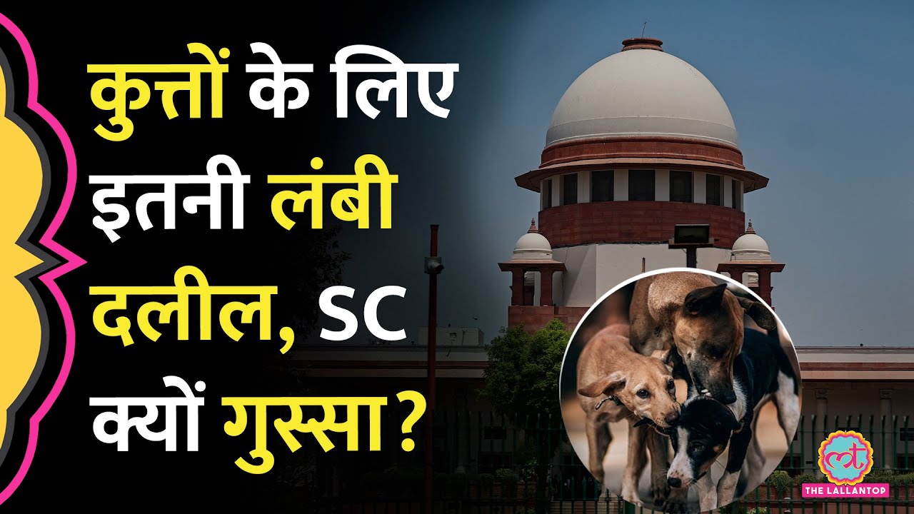 Supreme Court ने Stray Dogs Case की सुनवाई में अनाथ बच्चे, लंबी दलीलें, पब्लिक सेफ़्टी पर क्या कहा?