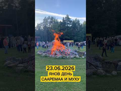 #390. 23.06.2026 ЯНОВ ДЕНЬ СААРЕМАА И МУХУ 🔥 #live #saaremaa #muhu #estonia