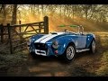 Shelby Cobra 427 S/C Fujimi 1:24 - Car Model