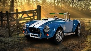 Shelby Cobra 427 S/C Fujimi 1:24 - Car Model