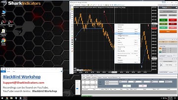 BlackBird Workshop - Closing a Trade When 4 Losing Bars In a Row Occur