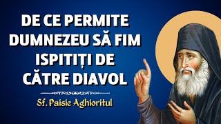 De ce permite Dumnezeu să fim ispitiți de diavol? - Sf. Paisie Aghioritul