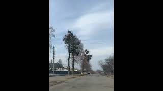 Шпола 5