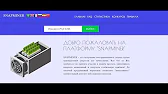 Елена Смирнова