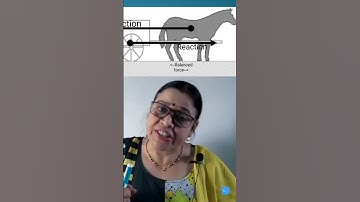 How can horse pull a cart?|Newton