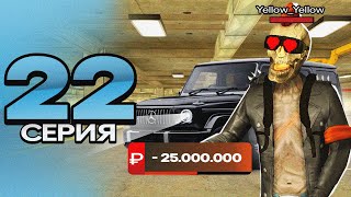 :      #22  ?  crmp mobile