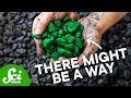 Hydrogen Storage in Coalbeds