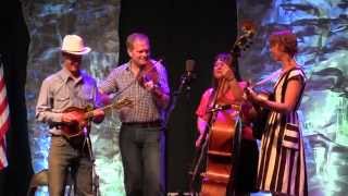 Video thumbnail of "A Fool Such As I - Foghorn Stringband at CBA Festival"