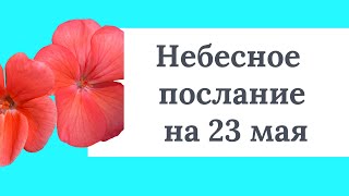 Небесное послание на 23 мая. Внутренний резерв.