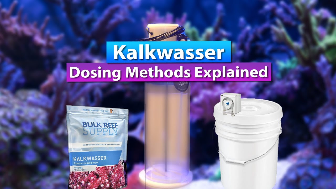 Kalkwasser Dosing Methods Explained YouTube