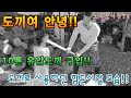 화목보일러 사용 //귀농귀촌인의 필수장비 유압도끼!!  10톤 유압도끼 리뷰!!