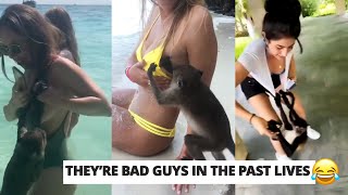 HILARIOUS OPPORTUNISTIC ANIMALS: They had to be bad guys in The Past Lives by JUST WATCH IT 952 views 8 months ago 6 minutes, 10 seconds