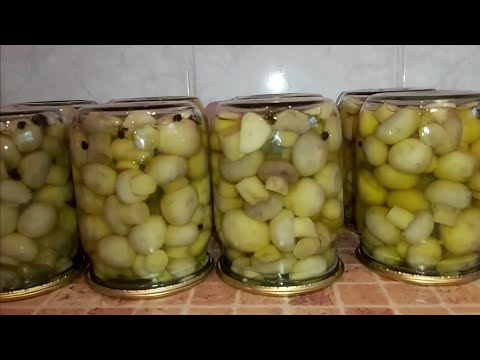 таких вкусных вы еще никогда не ели!! нравятся всем!