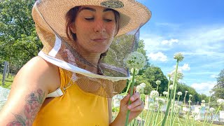 The Beekeeper’s Garden Homesteaders of America  Garden Tour