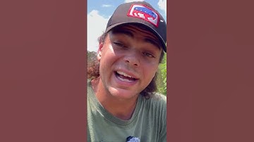 Ants🐜 in Compost #permaculture #garden #compost