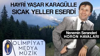 Hayri Yaşar Karagülle - Sıcak Yeller Eserdi Resimi