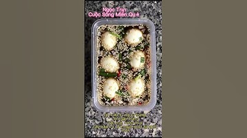 Cách làm Trứng Gà lòng đào ngâm tương siêu ngon siêu dễ làm.