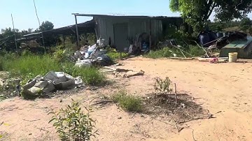 Bán 10 mẫu mít ruột đỏ giá 160 triệu 1 công thuộc huyện Thạnh hóa tỉnh Long An lh 0819259737