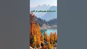 سورة المجادلة آيه 14 #رحمة_للعالمين #قرآن #مصر