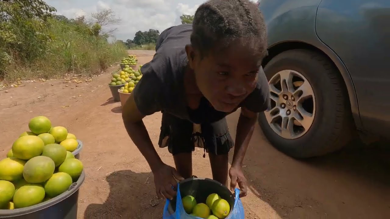 SO MUCH FOOD, THERE IS A LOT WE CAN DO - NORTHEASTERN ADVENTURE EP 46