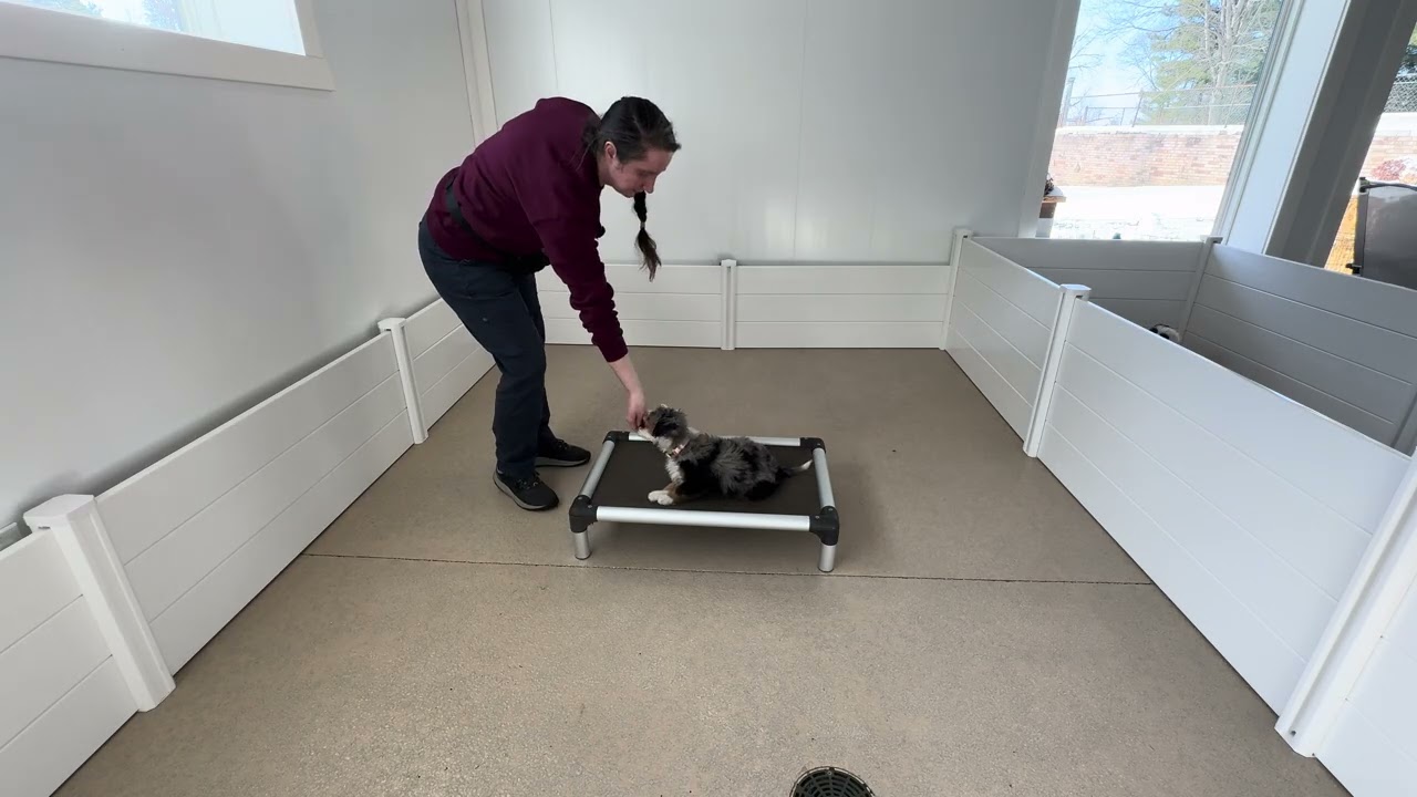 Clara Training Session 02/24