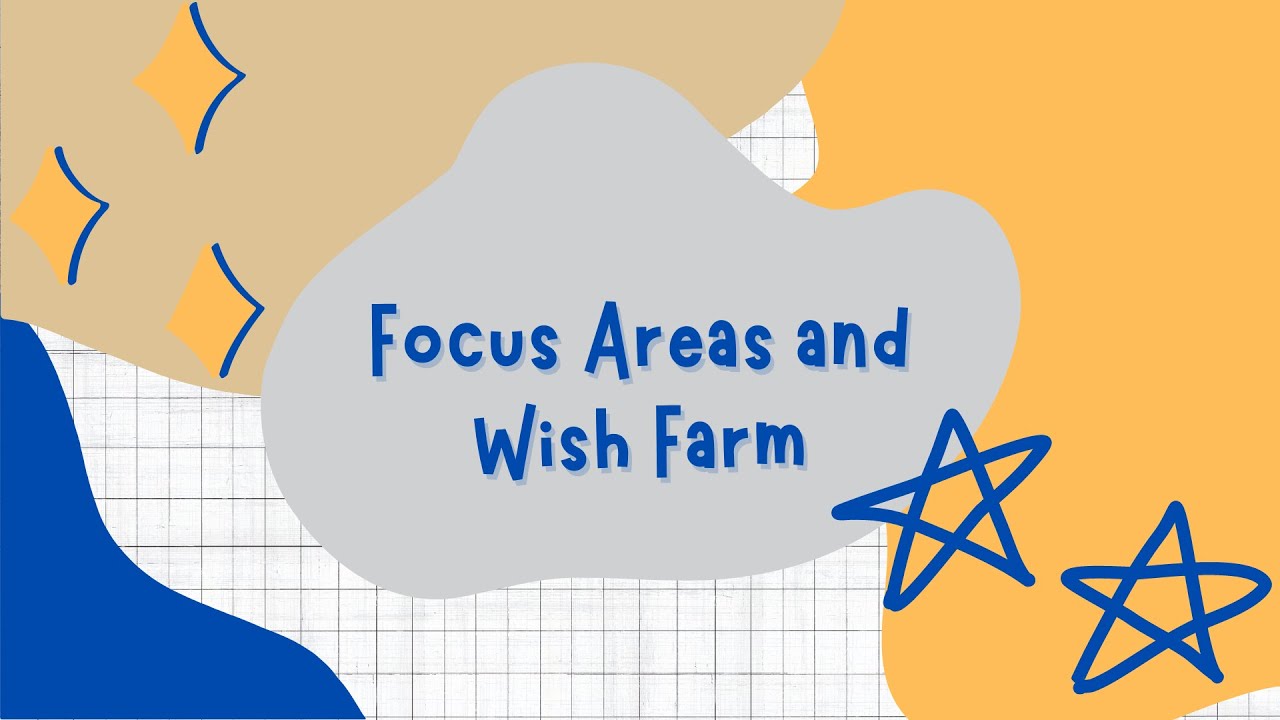 February 2023 Current Focus Areas and YNAB Wish Farm YouTube