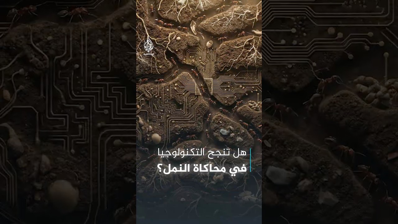 خوارزمية النمل.. كيف تلهمنا أصغر المخلوقات في حياتنا؟