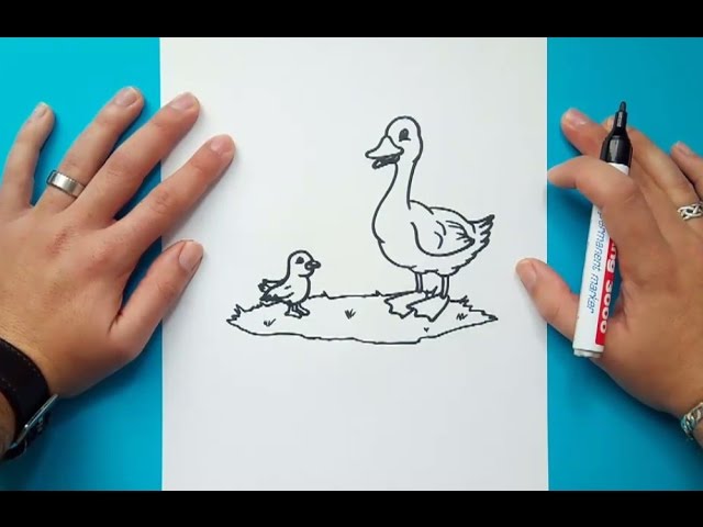 Cómo Dibujar un PATO? 🦆 - Dibujo de un PATO 🦆