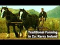 Farming with horses in 1920's Ireland - Planting the grain crop