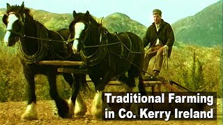 Farming with horses in 1920's Ireland - Planting the grain crop