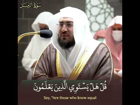 أم ن هو قانت آناء الليل ساجدا وقائما بندر بليلة