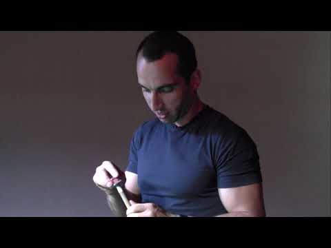 აღმოჩენილი შესაძლებლობები