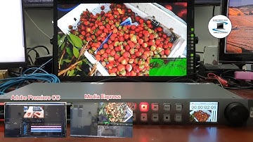 Test Video : Adobe Premiere, Media Express with Decklink Mini Video Card & Hyperdeck Studio Pro 2.