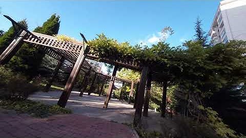 GoPro Session 5 Reelsteady GO Perfomance/ KISS ALIEN5